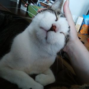 Meet your Posher, Christianne